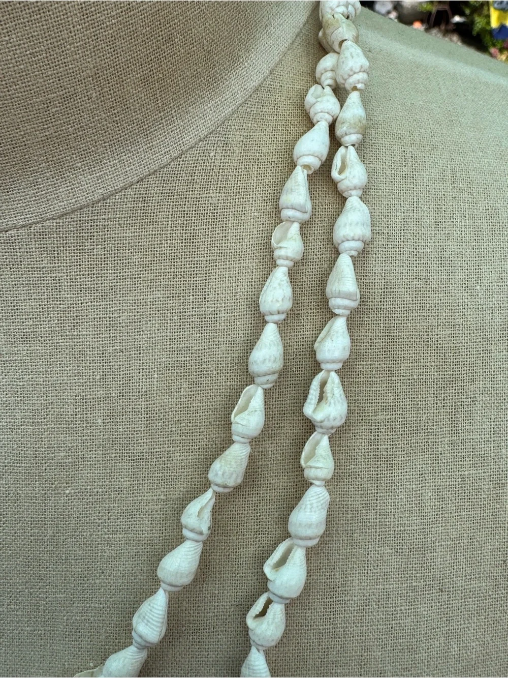 Vintage Small Shell Long Necklace